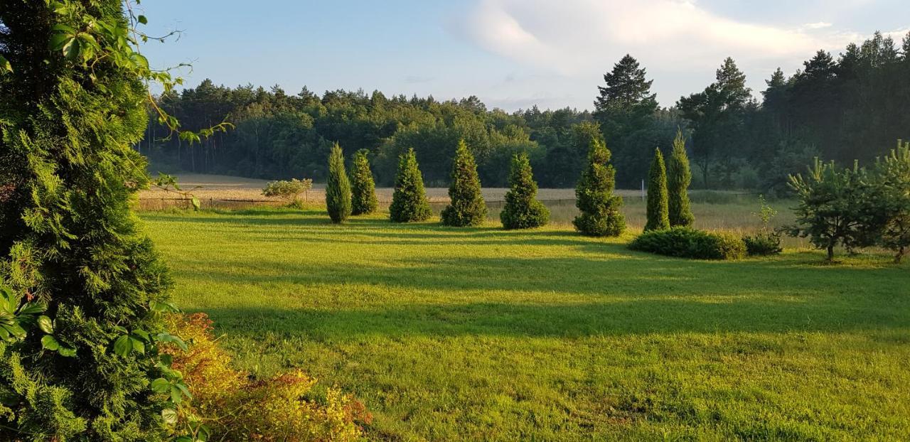 Agroturystyka Lisa Mlyn Najmowo Exterior photo