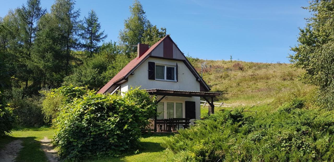 Agroturystyka Lisa Mlyn Najmowo Exterior photo
