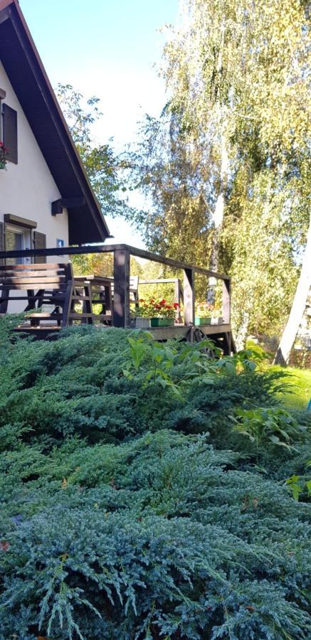 Agroturystyka Lisa Mlyn Najmowo Exterior photo