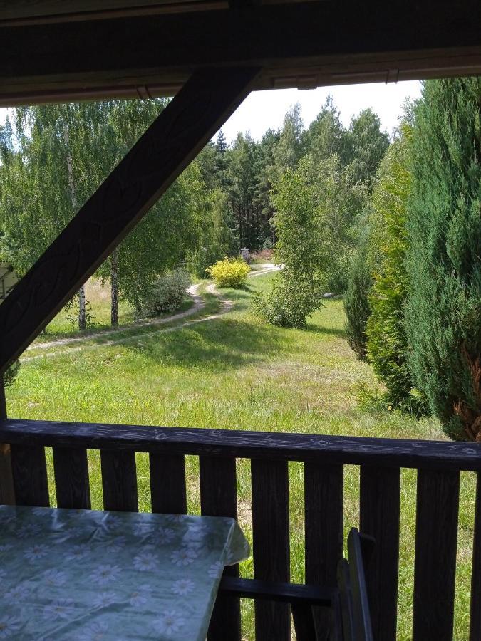 Agroturystyka Lisa Mlyn Najmowo Exterior photo