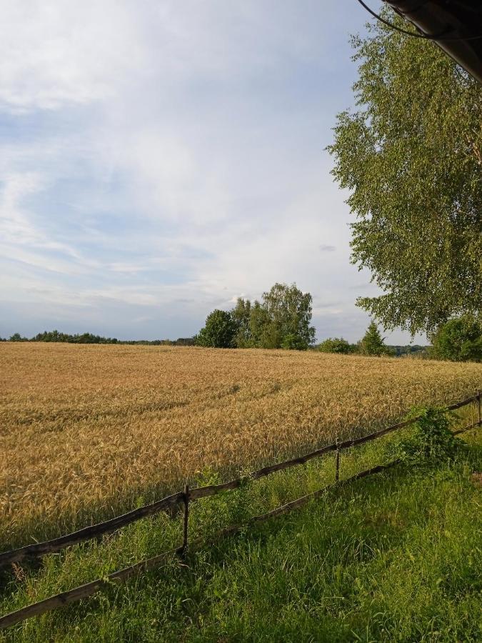 Agroturystyka Lisa Mlyn Najmowo Exterior photo